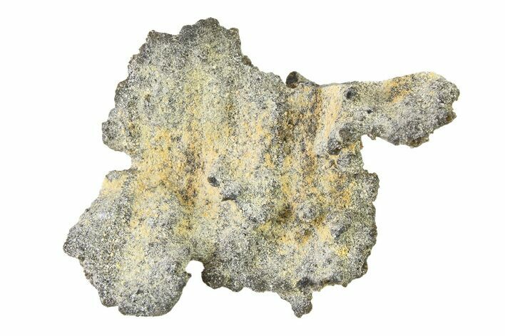Fulgurite - Petrified Lightning #326149